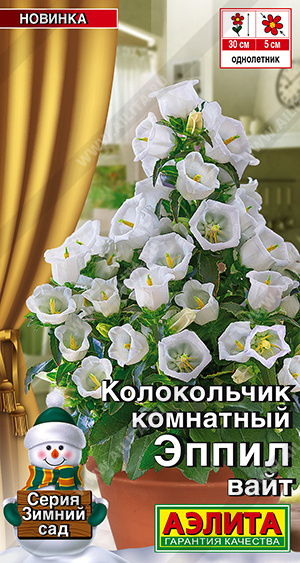 Колокольчик Эппил вайт комнатный 3шт