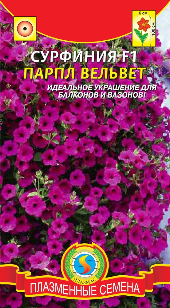 цСурфиния Парпл Вельвет 5шт