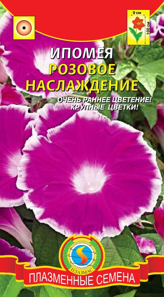 цИпомея Розовое наслаждение