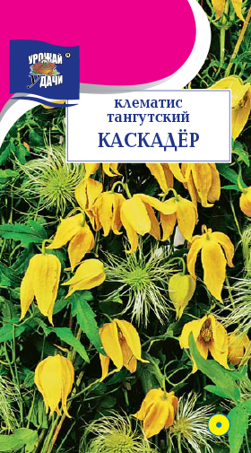 Клематис Каскадёр тангусский 0,02г