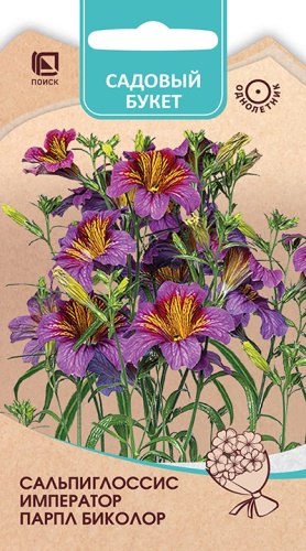 Сальпиглоссис Император Парпл биколор 7шт (Садовый букет)