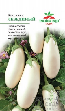Баклажан Лебединый УГ
