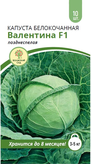 Капуста бк Валентина 10шт