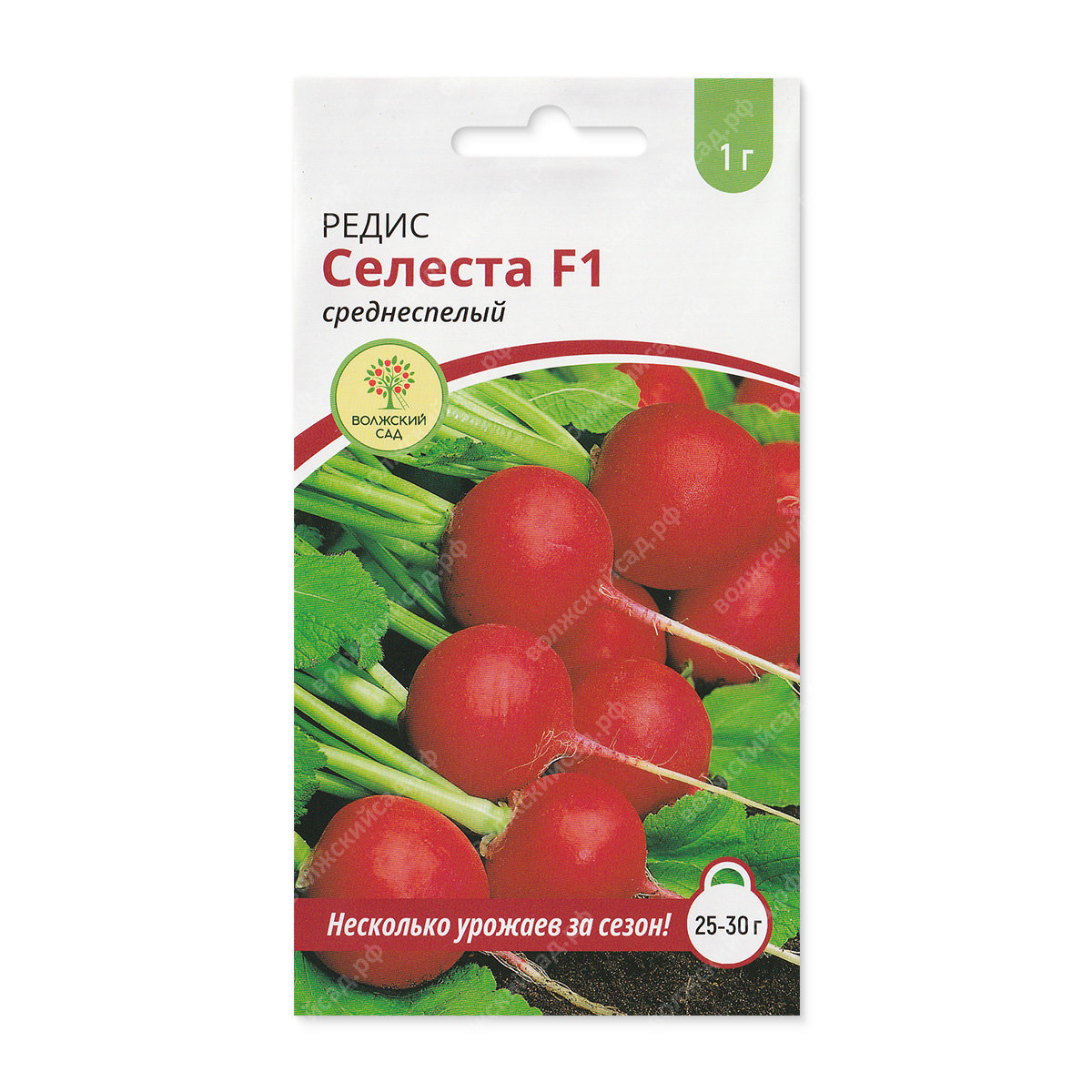 Редис Селеста (1г) !!!