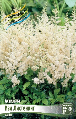 Астильба Изи Листенинг (Дюнес Деликейт) (1)
