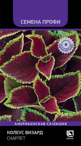 Колеус Визард скарлет 10шт (Семена Профи)