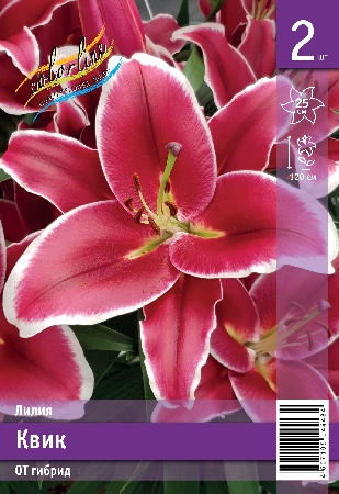 Лилия ЭКОНОМ-СЕРИЯ КВИК (2 шт)