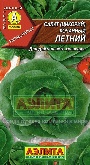 Салат Летний 0,5г кочанный (цикорий)