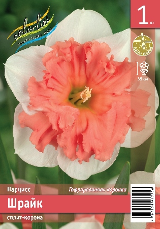 Нарцисс ЭКОНОМ-СЕРИЯ ШРАЙК (1 шт)