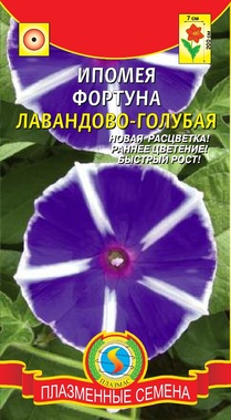 цИпомея Фортуна Лавандово-голубая