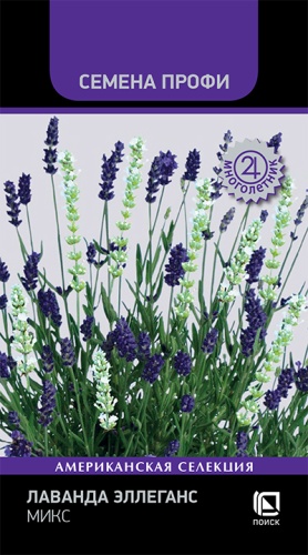 Лаванда Эллеганс Микс 10шт (Семена Профи)