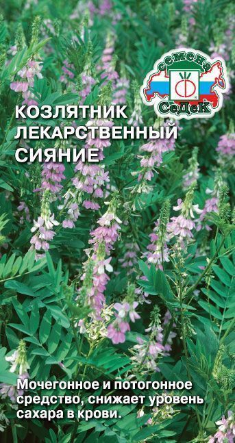 Козлятник Сияние лекарственный 3г