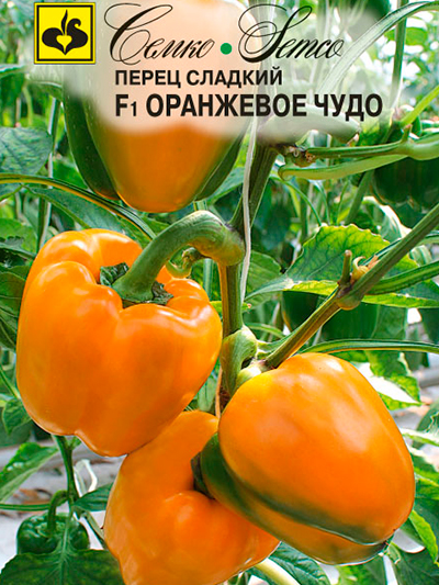Перец Оранжевое чудо 5шт