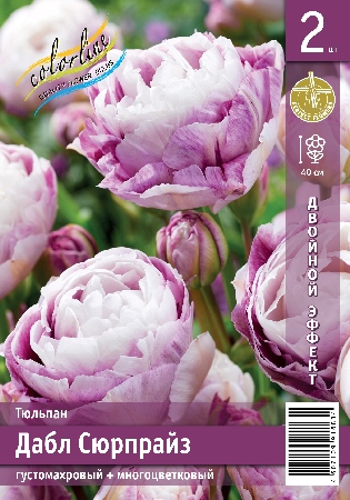 Тюльпан ЭКОНОМ-СЕРИЯ ДАБЛ СЮРПРАЙЗ (2 шт)