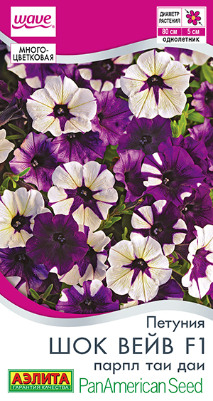 Петуния Шок Вейв парпл тай дай 4шт