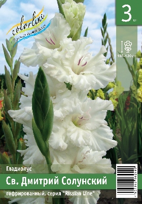 Гладиолус ЭКОНОМ-СЕРИЯ СВ. ДМИТРИЙ СОЛУНСКИЙ (3 шт)