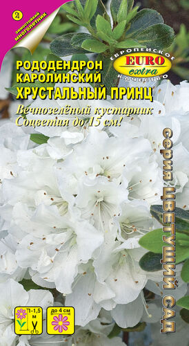 цРододендрон Хрустальный принц 0,002г
