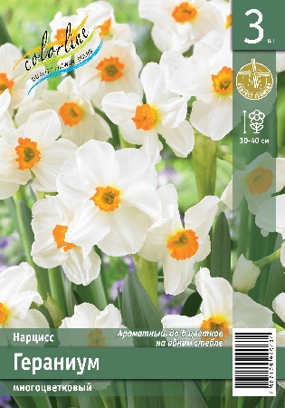 Нарцисс ЭКОНОМ-СЕРИЯ ГЕРАНИУМ (3 шт)