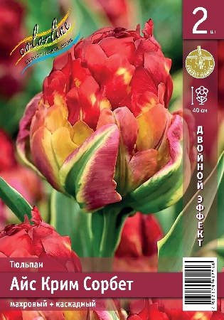 Тюльпан ЭКОНОМ-СЕРИЯ АЙС КРИМ СОРБЕТ (2 шт)