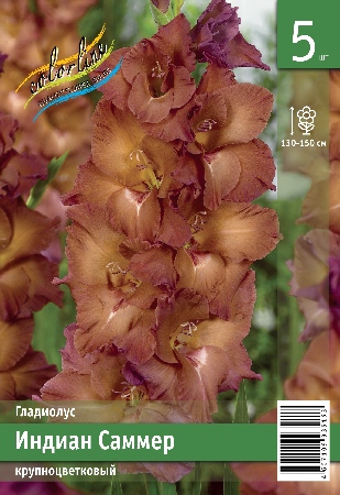 Гладиолус ЭКОНОМ-СЕРИЯ ИНДИАН САММЕР (5 шт)