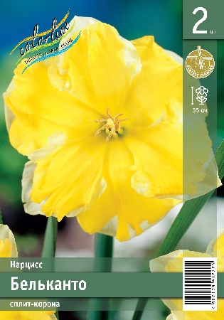 Нарцисс ЭКОНОМ-СЕРИЯ БЕЛЬКАНТО (2 шт)