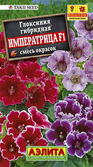 цГлоксиния Императрица смесь 5шт