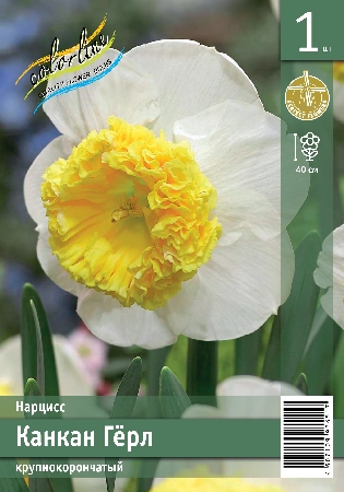 Нарцисс ЭКОНОМ-СЕРИЯ КАНКАН ГЁРЛ (1 шт)