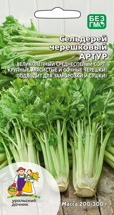Сельдерей черешковый Артур