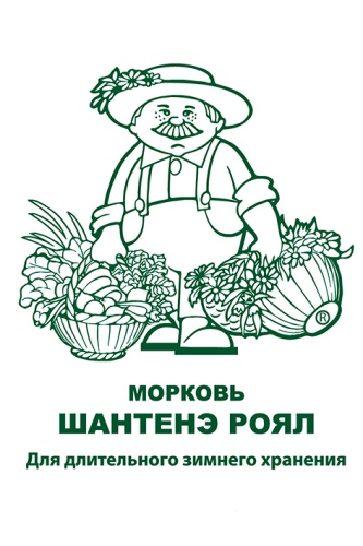 Морковь Шантенэ Роял 2г