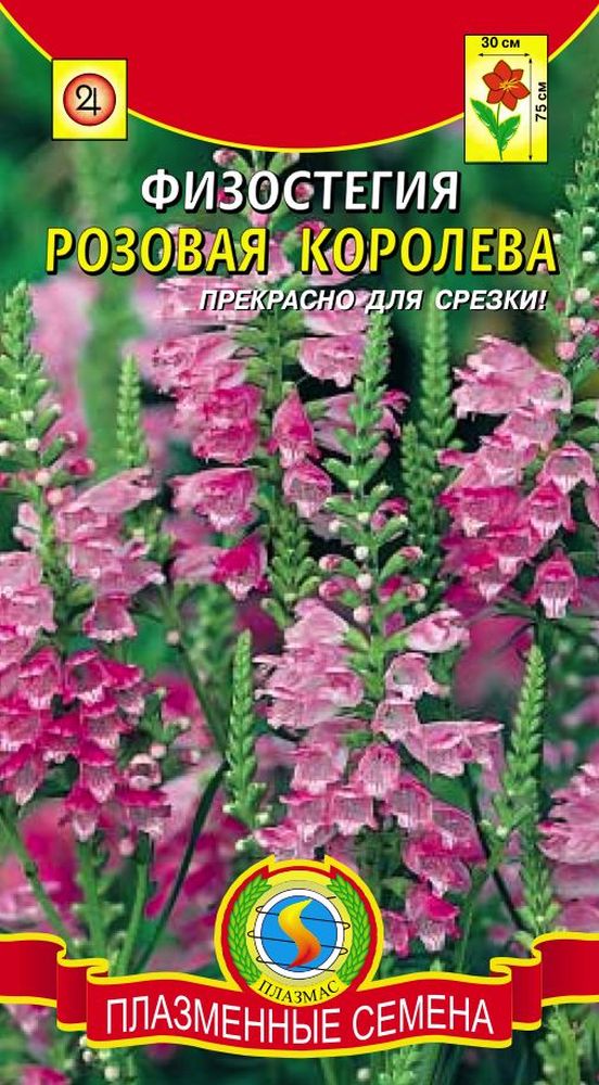 цФизостегия Розовая Королева 10шт