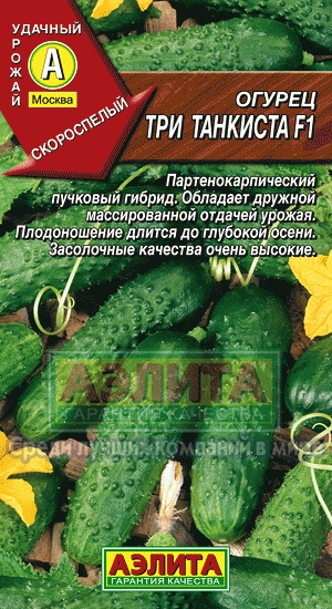 Огурец Три танкиста 0,25г