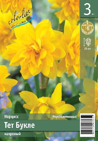 Нарцисс ЭКОНОМ-СЕРИЯ ТЕТ БУКЛЕ (3 шт)