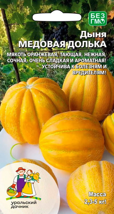Дыня Медовая долька 10шт