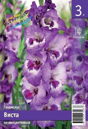Гладиолус ЭКОНОМ-СЕРИЯ ВИСТА (3 шт)