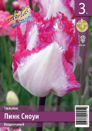 Тюльпан ЭКОНОМ-СЕРИЯ ПИНК СНОУИ (3 шт)