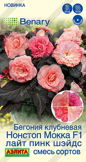 Бегония Нонстоп мокка лайт пинк шэйдс смесь 5шт