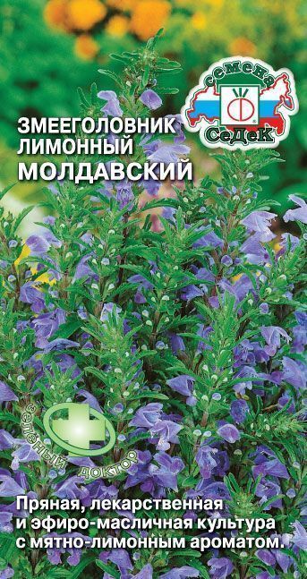 Змееголовник Молдавский 0,5г