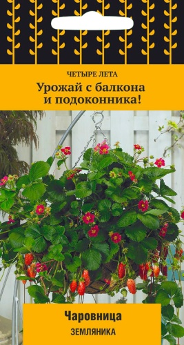 Земляника Чаровницаа 5шт Четыре лета