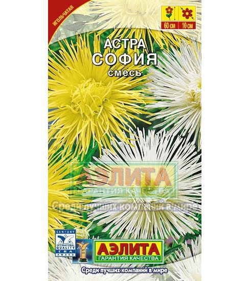цАстра София