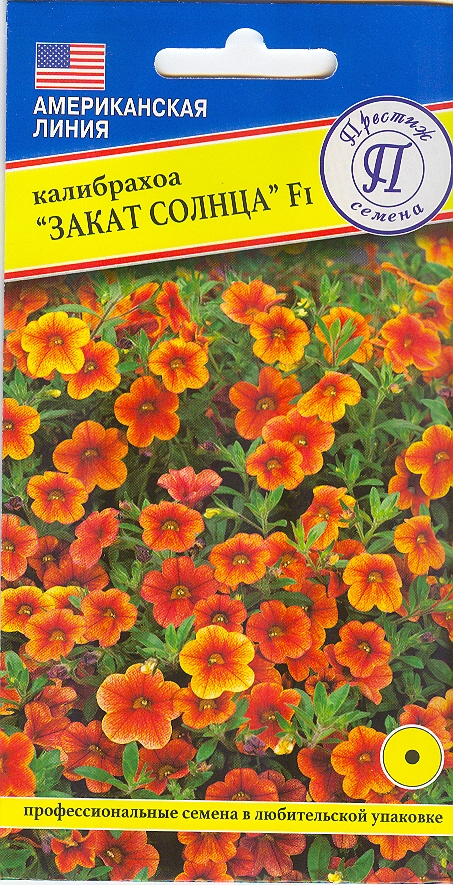 цКалибрахоа Закат Солнца 3др