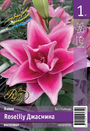Лилия ЭКОНОМ-СЕРИЯ ROSELILY ДЖАСМИНА (1 шт)