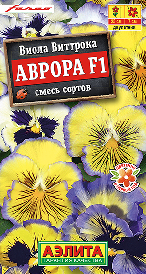 цВиола Аврора 7шт