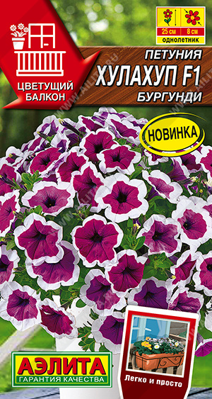 Петуния Хулахуп бургунди 7шт