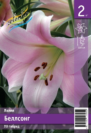 Лилия ЭКОНОМ-СЕРИЯ БЕЛЛСОНГ (2 шт)