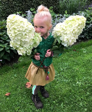 БИГ-ПАК Гортензия Геркулес (5 шт)