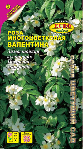 цРоза Валентина 0,1г
