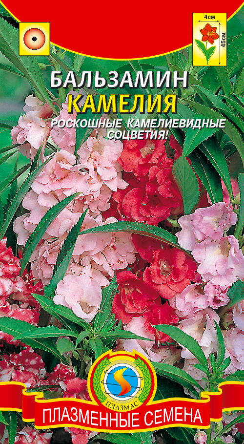 цБальзамин Камелия смесь 0,2г