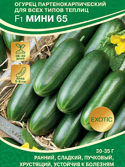 Огурец Мини 65   3шт