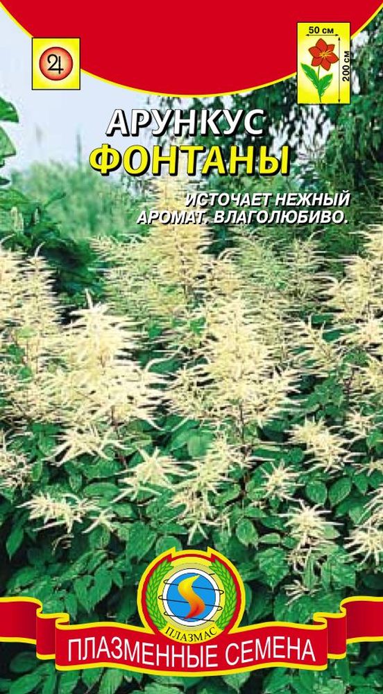 цАрункус Фонтаны 50шт