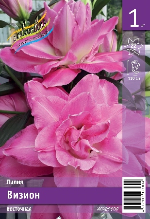 Лилия ЭКОНОМ-СЕРИЯ ВИЗИОН (1 шт)